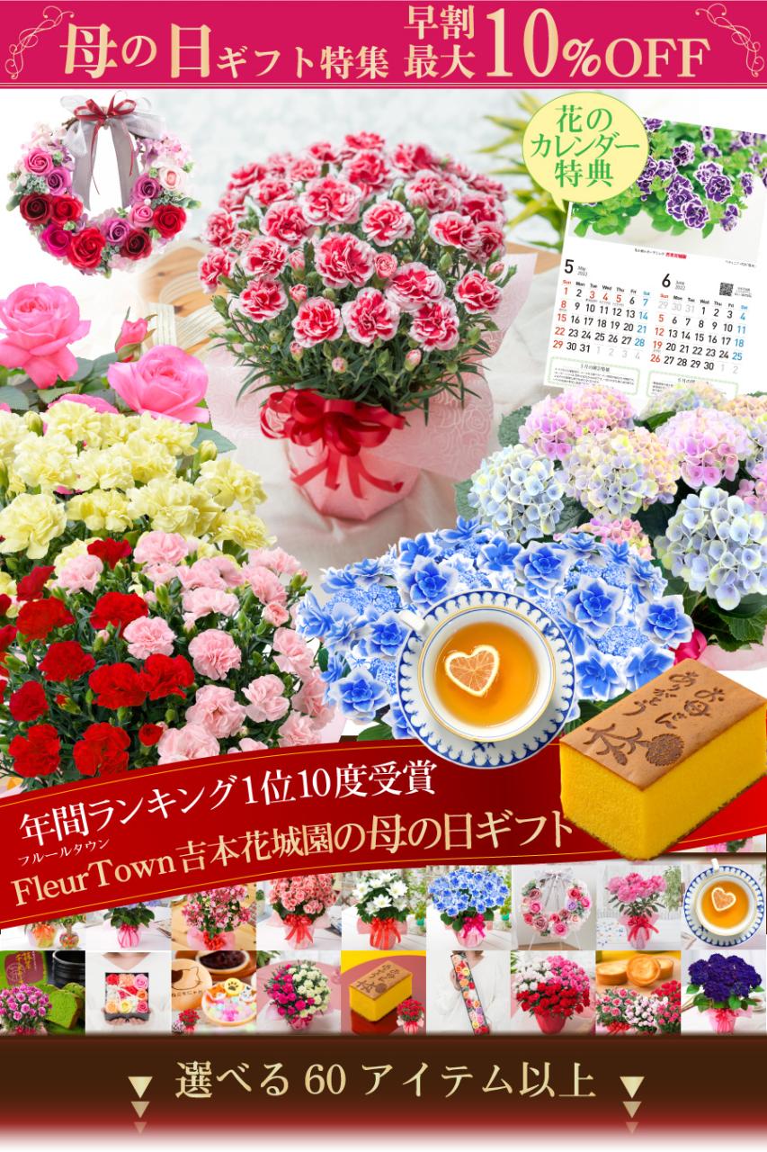 FleurTown吉本花城園の母の日ギフト