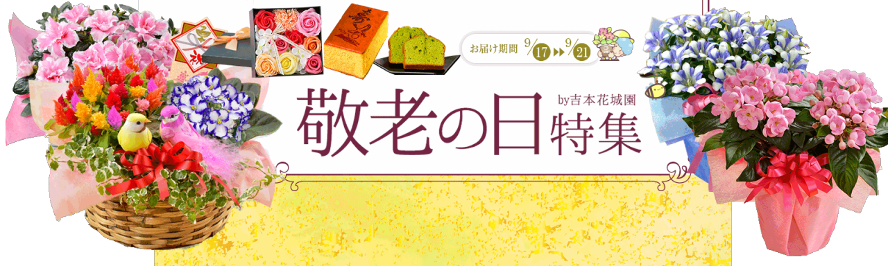 Fleurtown吉本花城園の敬老の日ギフト特集 花とスイーツ