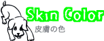 Skin color 畆̐F