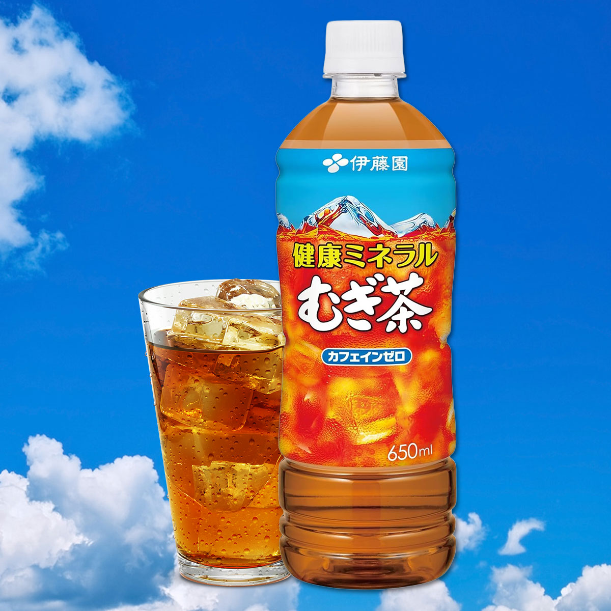 �~�l��������