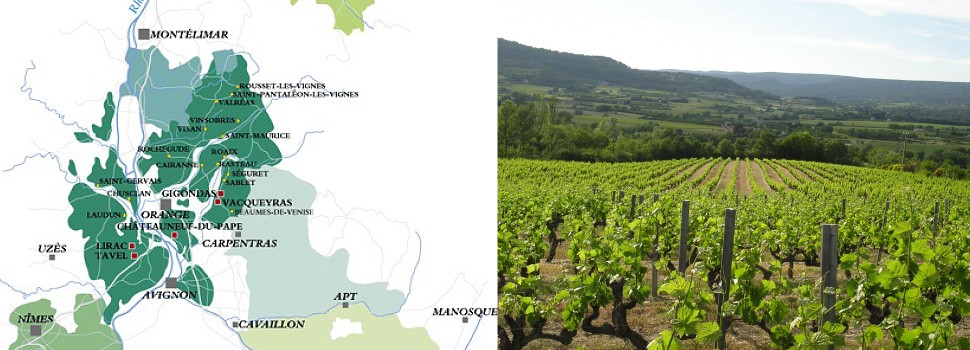 南フランスで育まれるLAVAUのワイン