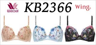 kb2366