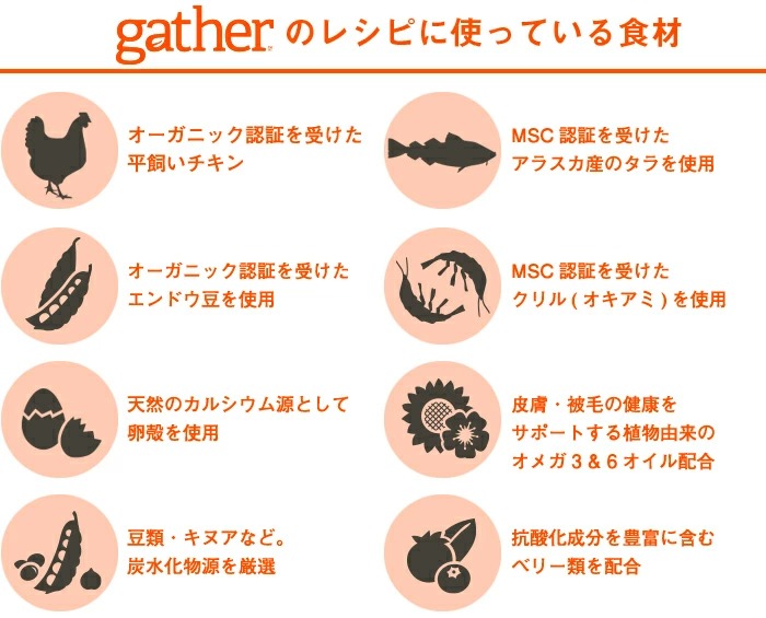 gather�̃��V�s�Ɏg���Ă���H��