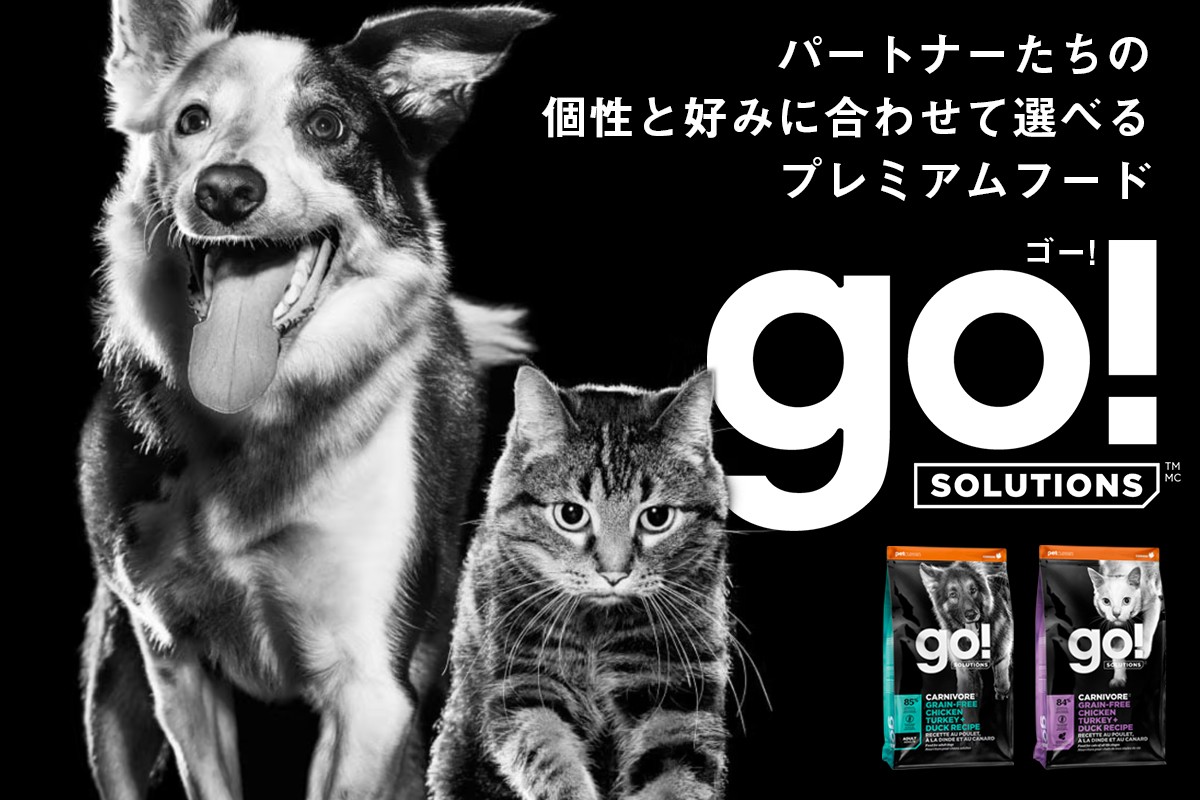 GO! SOLUTION S[