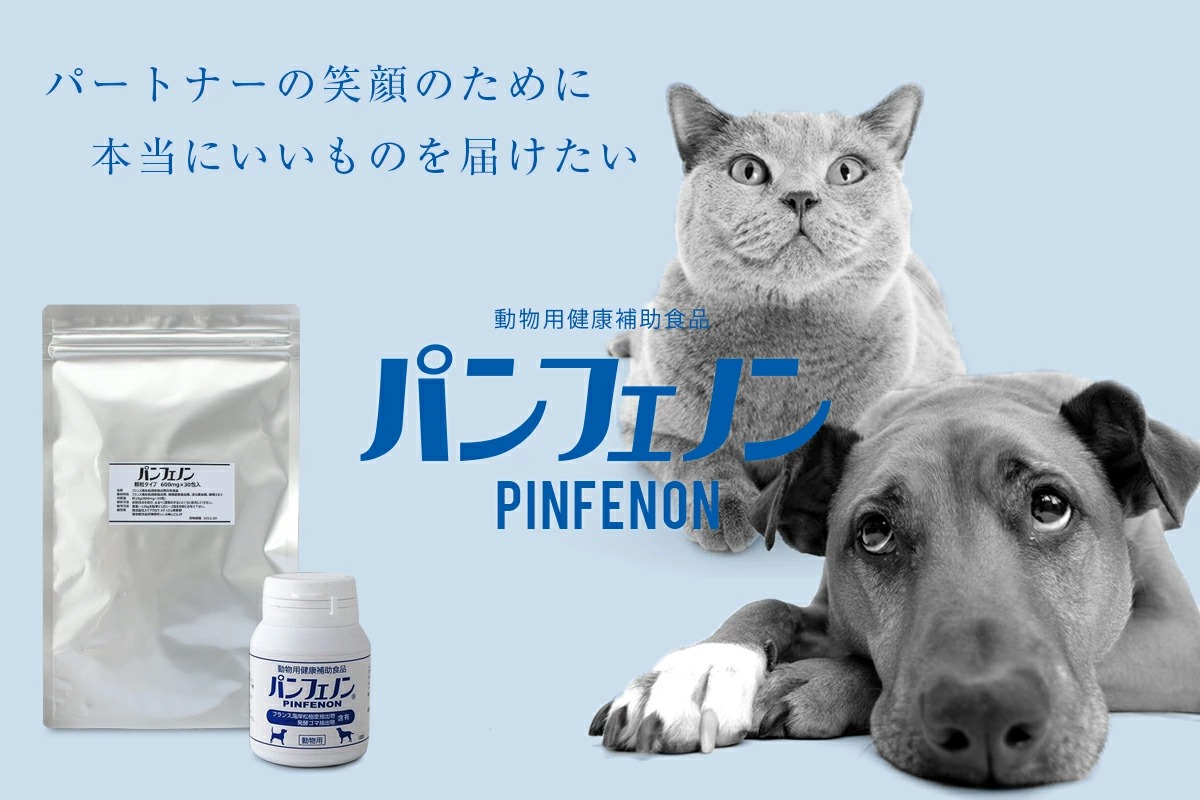 �p���t�F�m��