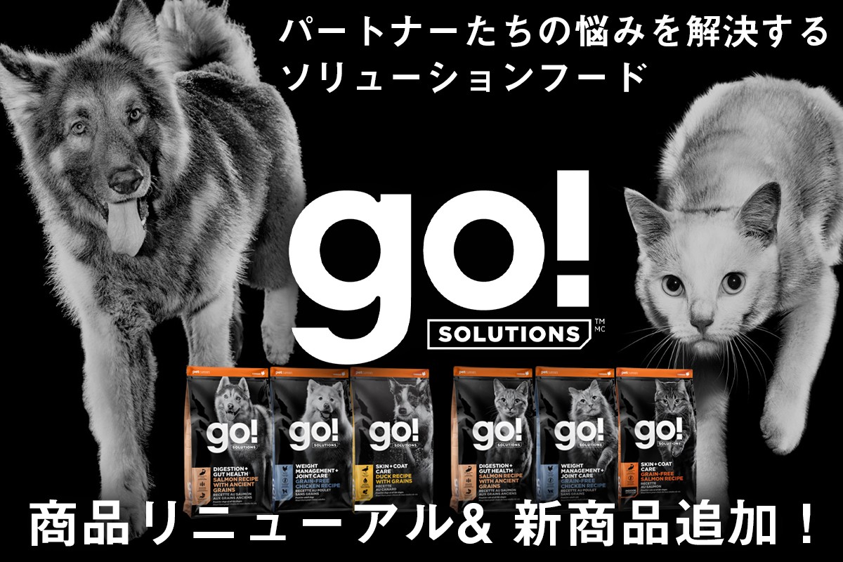 GO! SOLUTION