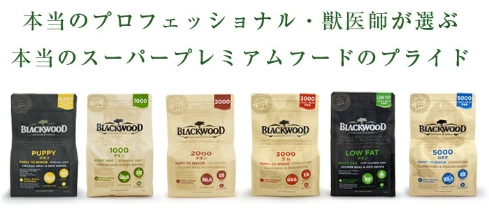 業務用 BLACKWOOD REAL MILK リアルミルク （ブラックウッド