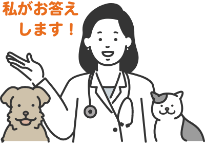 田中聖心先生