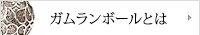 ガムランボールとは