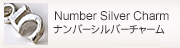 ナンバーシルバーチャーム