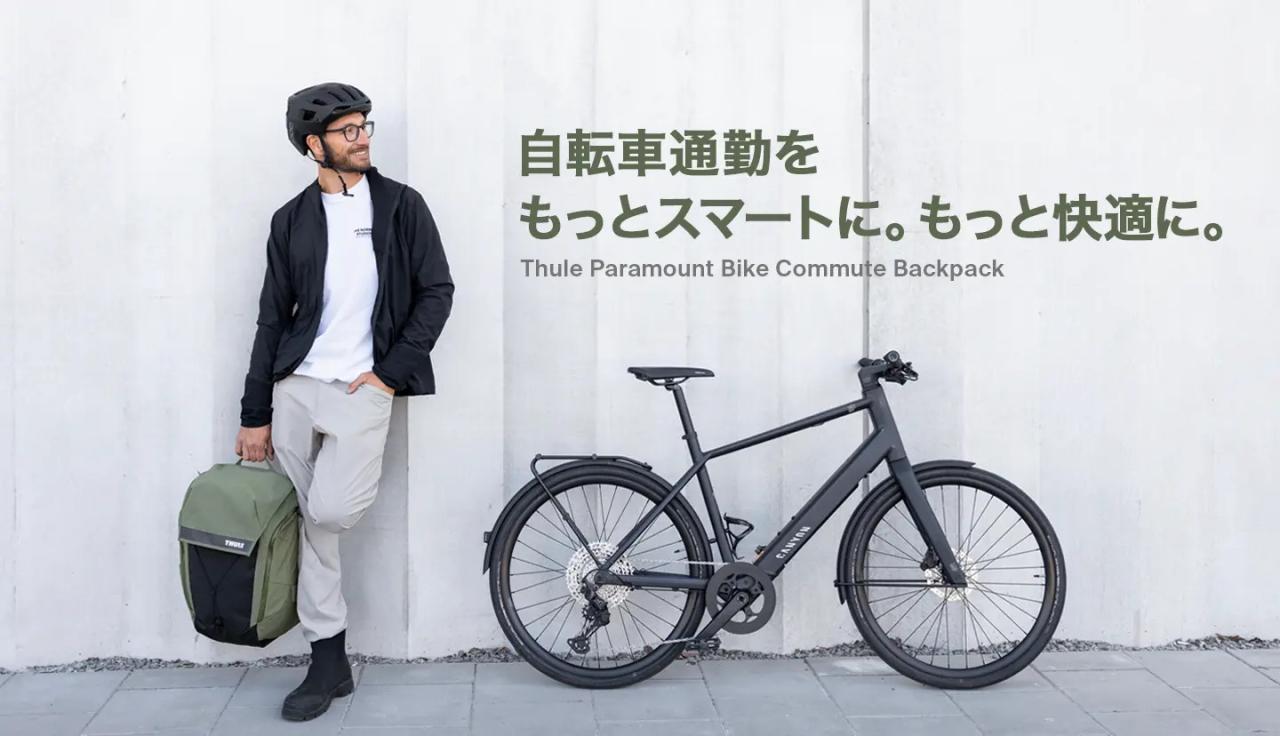 THULE ��^2�փX�[�c�P�[�X���W