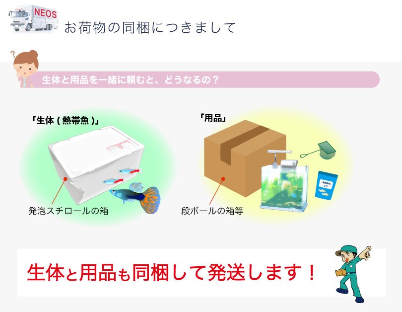 ���w���ɂ��܂���