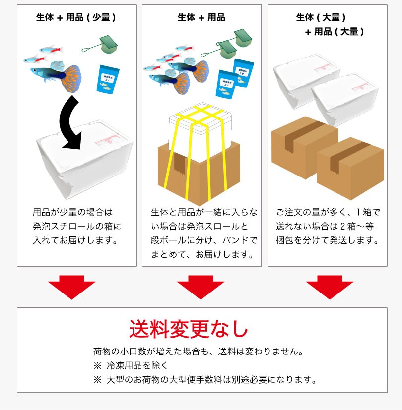 ���w���ɂ��܂���