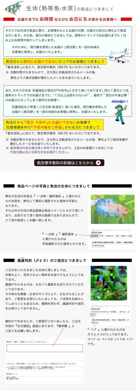 ���́i�M�ы� �����j�̔����ɂ���