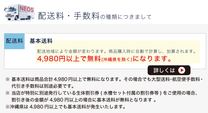 �l�I�X �ʏ� �z����