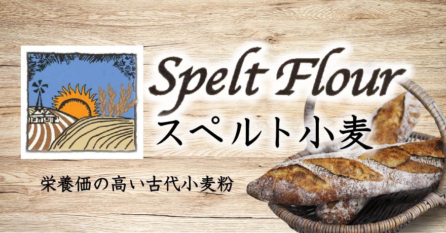 ���C���r�W���A���摜