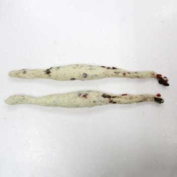 工程5
