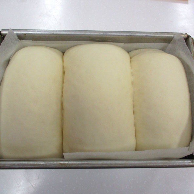 �摜������܂���