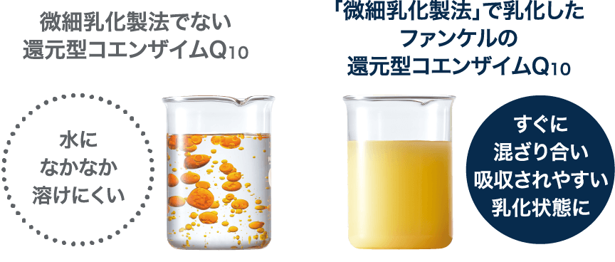 �u���ד������@�v�œ��������t�@���P���̊Ҍ��^�R�G���U�C��Q10�̃C���[�W