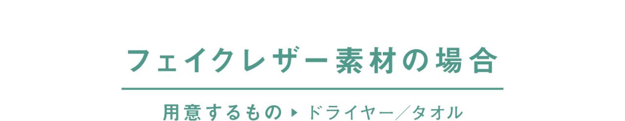 �t�F�C�N���U�[���o�摜