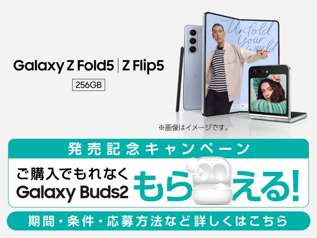 Z Flip5AZ Fold5 (256GB)LOLy[