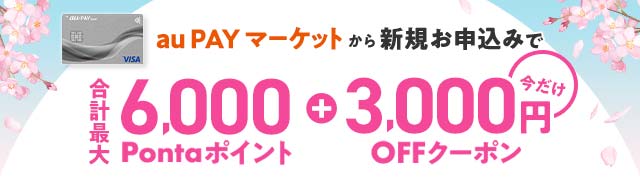 au PAY �J�[�h����L�����y�[��