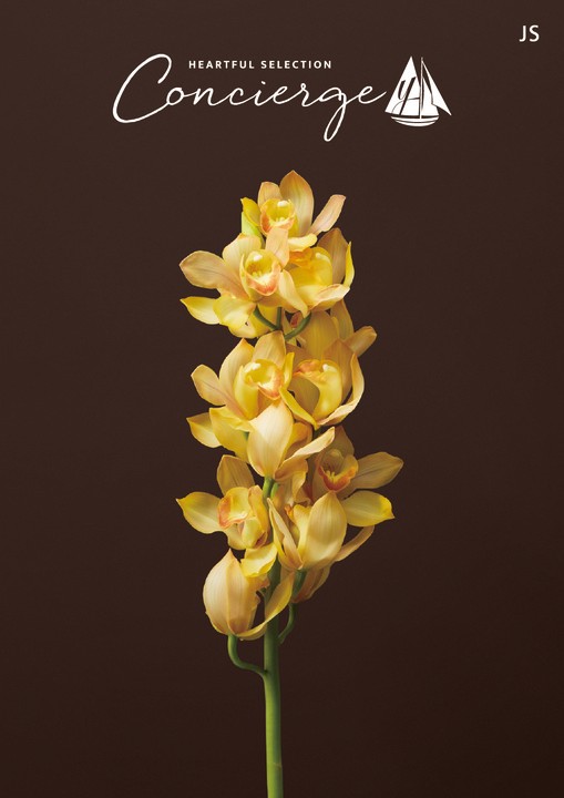 JS�R�[�X