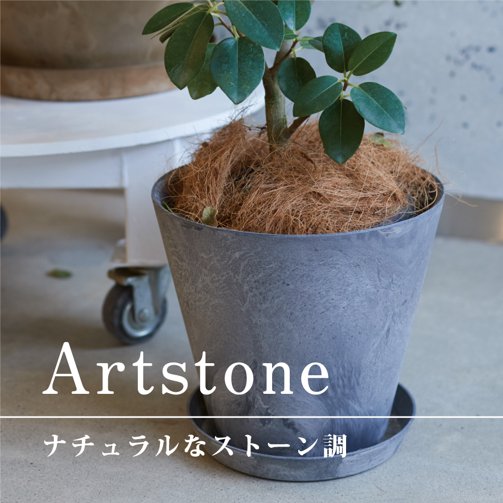 植木鉢・テラコッタとプランターの通販専門店 | BARGE