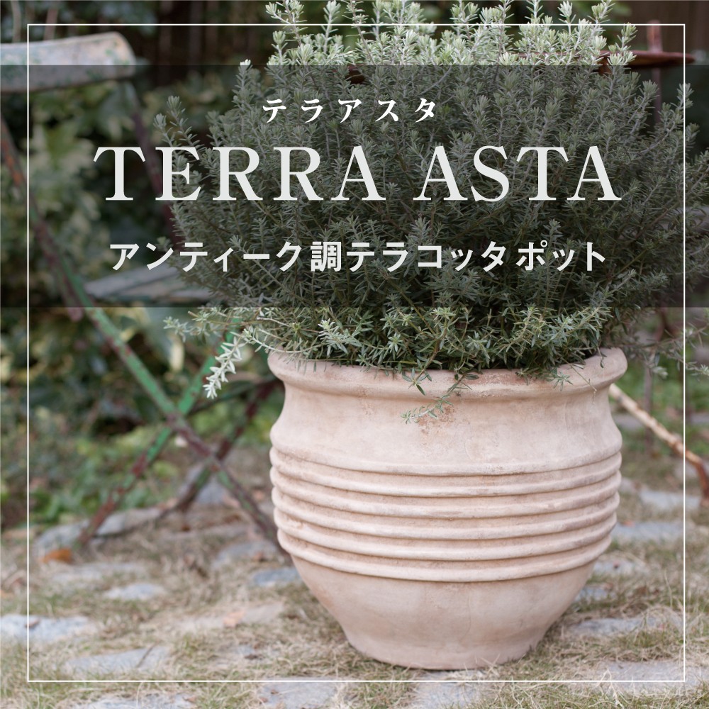 植木鉢・テラコッタとプランターの通販専門店 | BARGE