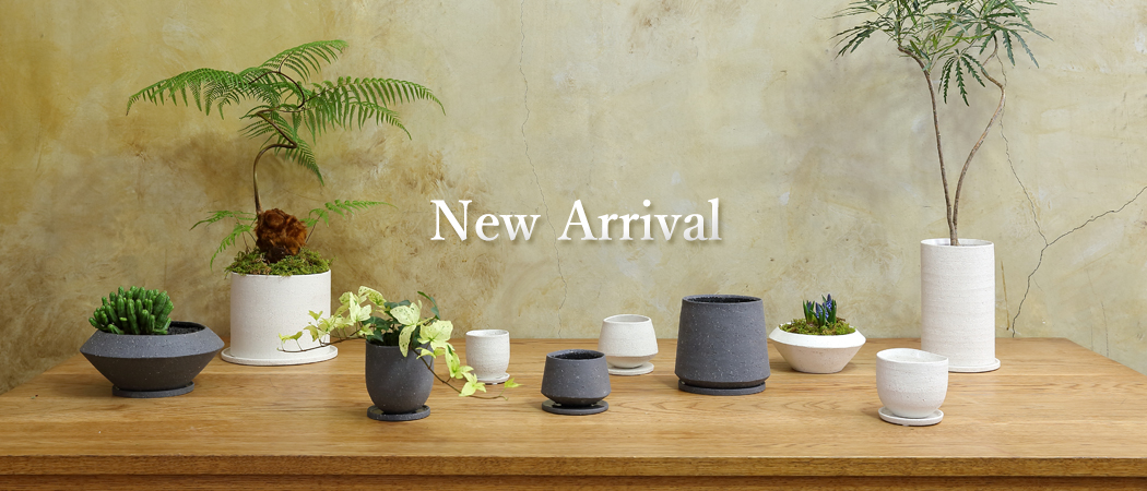 NewArrival