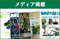 ���f�B�A�f��