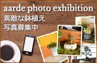 aarde photo