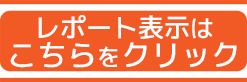 レポート表示