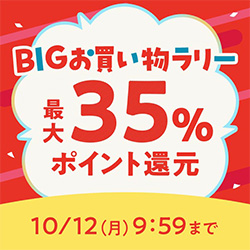 BIG�������������[