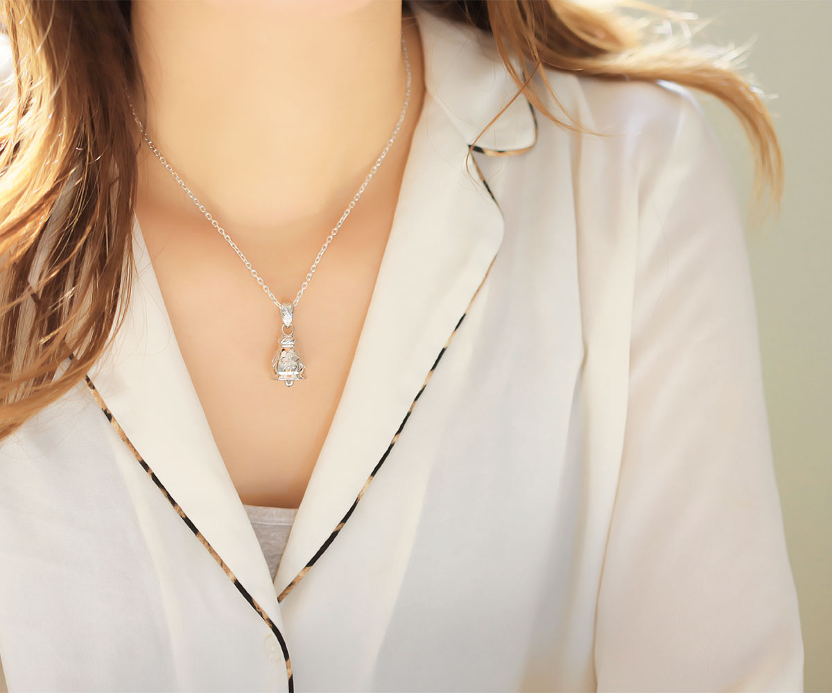 �V���o�[�l�b�N���X����������