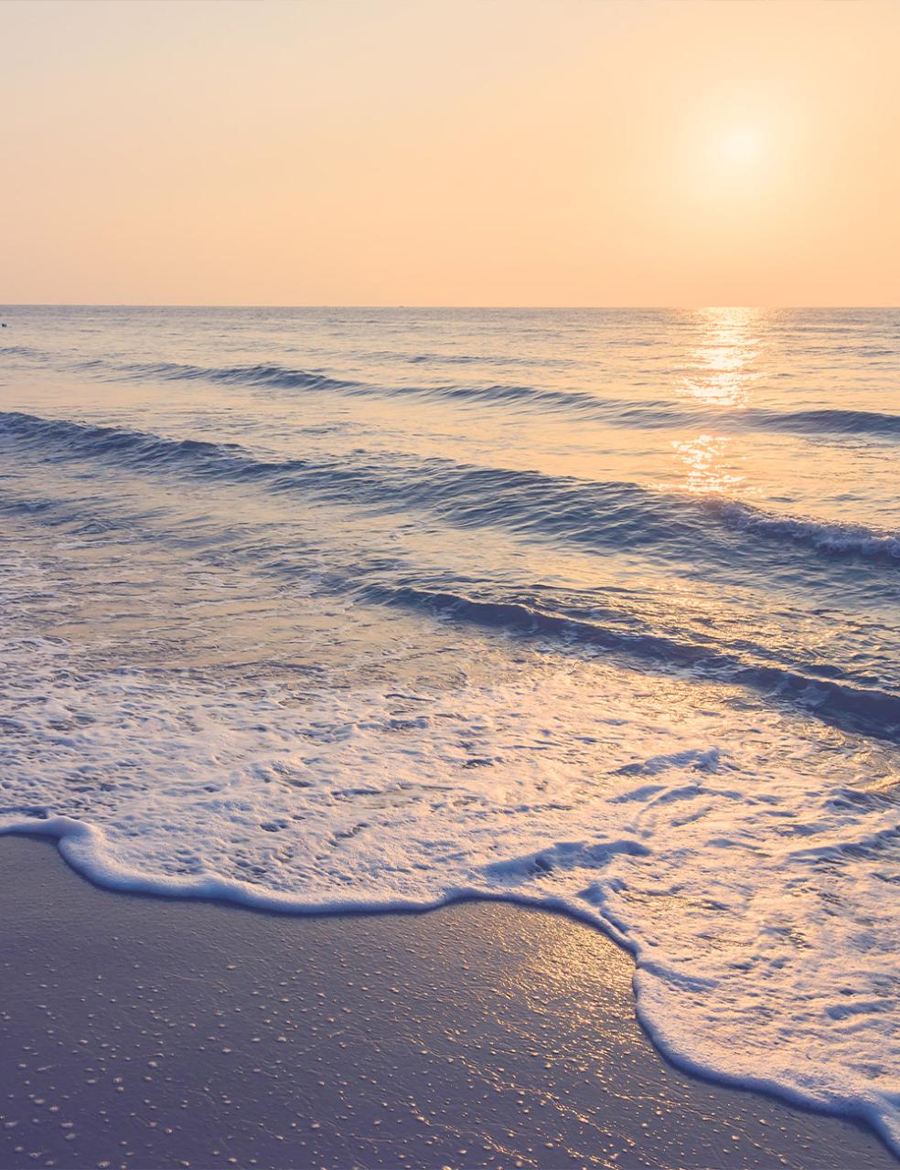 �X�N���[��