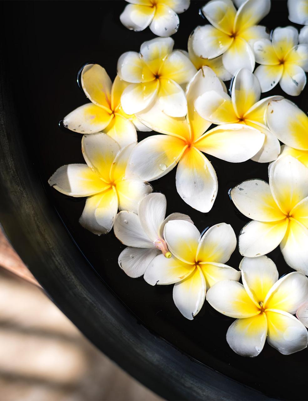 �v�������A