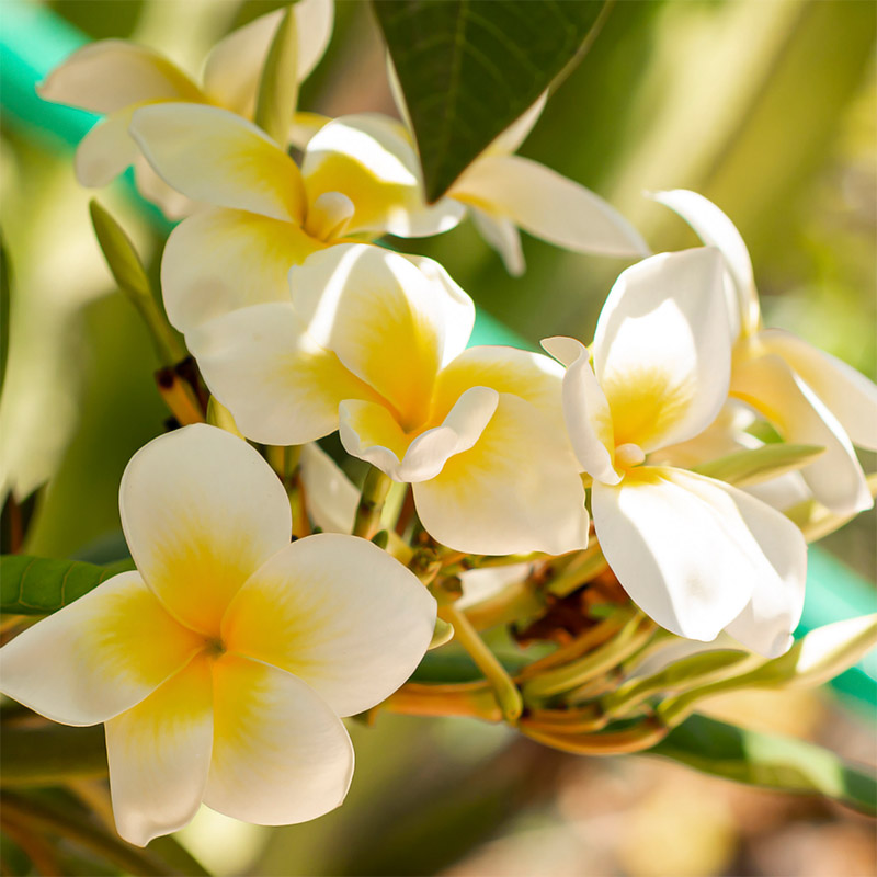 �v�������A