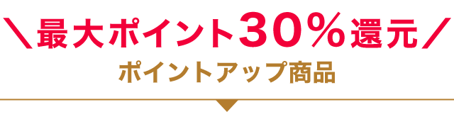 �|�C���g�A�b�v���i