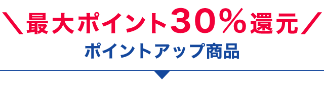 �|�C���g�A�b�v���i