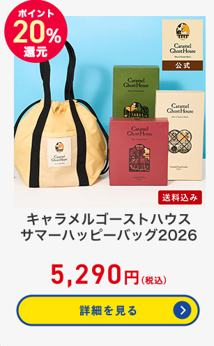 �L���������S�[�X�g