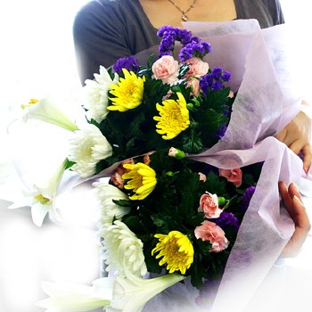 �J�T�u�����J�@���������@������