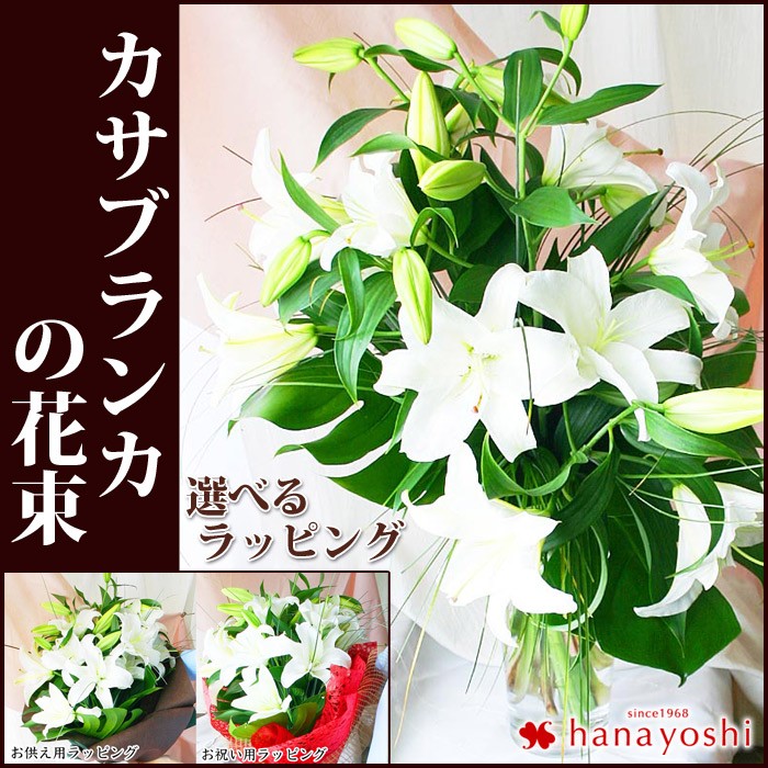 �J�T�u�����J�@���������@������