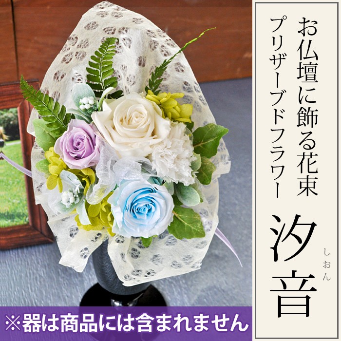 �v���U�@�������@�p�[���@�����p