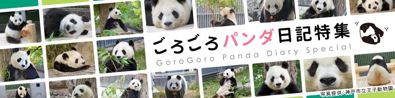 ���낲��p���_���L���W