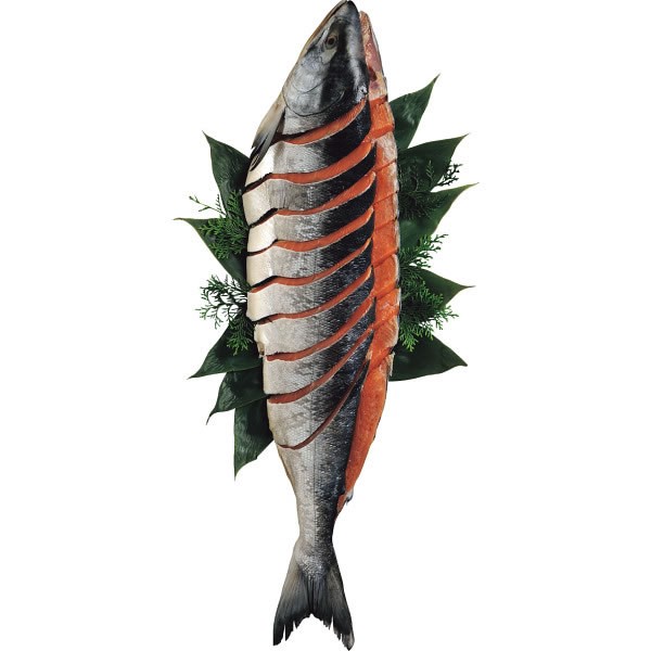 【送料無料】北海道宗谷・礼文島沖産銀毛色新巻鮭姿Ｌ（姿・１．５ｋｇ）【ギフト館】
