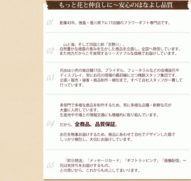 plus wowma jp