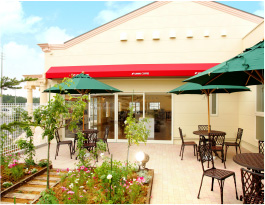 SAWAI COFFEE & TEA �t�@�N�g���[�X