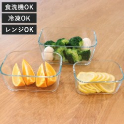 保存容器 真空シーラー Fresh Plan キャニスターセット 3個セット