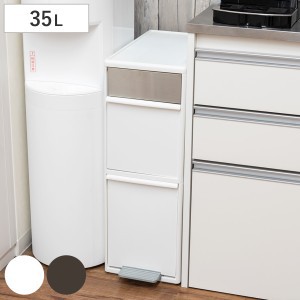 ゴミ箱 35L 分別 スイングステーション ワイド 2段